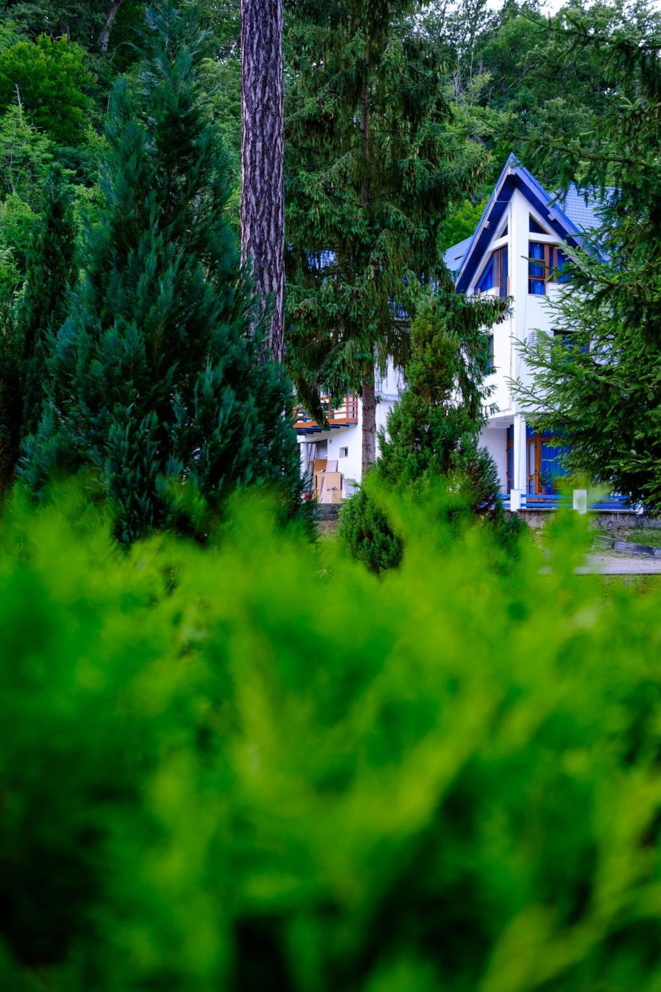 Hotel Parc Geoagiu Băi Extérieur photo